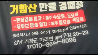 거함산만물경매장