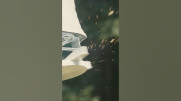 The Best Seed Mix for Your Deer Food Plot