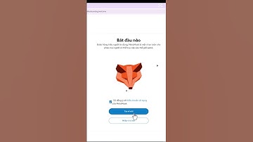 Hướng Dẫn Cài Đặt Ví METAMASK Cho Người Mới