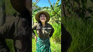 Download Lagu Wong jowo pancen jos tenan #shorts #komedi MP3 Download Lagu Wong jowo pancen jos tenan #shorts #komedi MP3