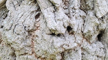 Super Patch Experience with Flow Patch on a BAD DAY - Part 3