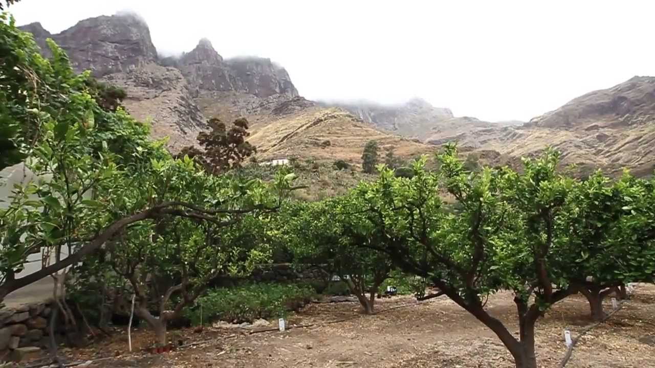 Una isla única  gran canaria