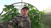 ПРОСТАЯ ЖИЗНЬ НА СЕЛЕ.