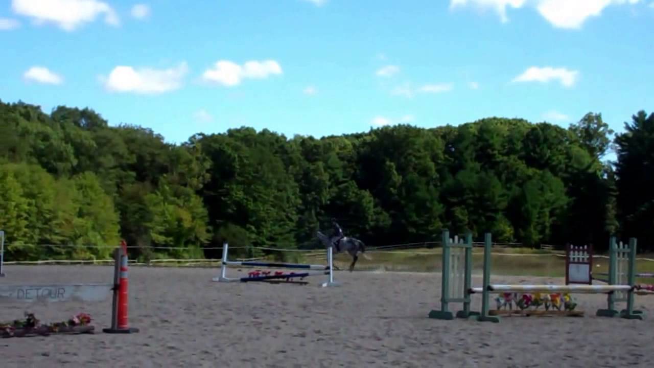 Luna OTTB For Sale First Show 9/6 YouTube