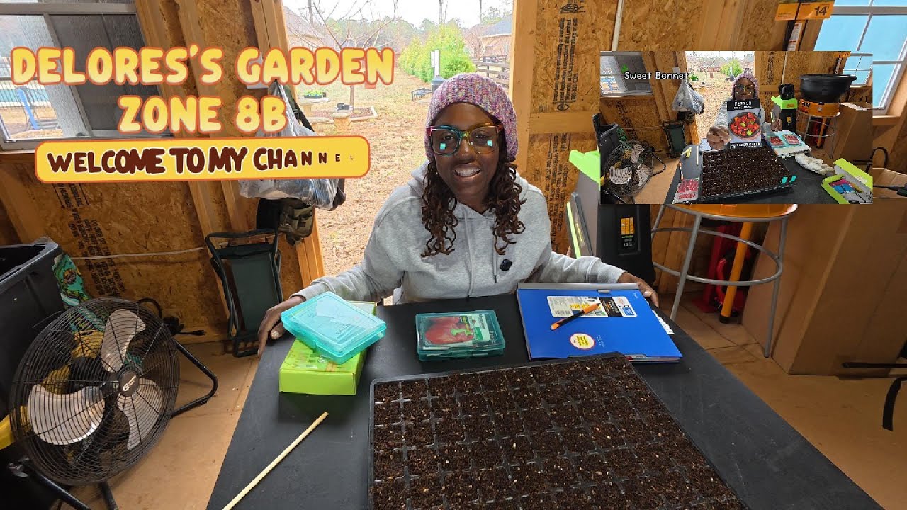 23.01. Начинаю выращивать перец и цветы из семян - готовлюсь к потрясающему сезону #овощнойсад