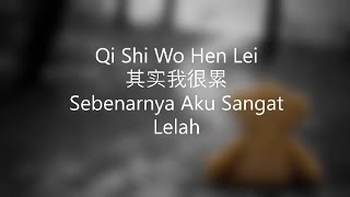 An Er Chen 安儿陈 - Qi Shi Wo Hen Lei 其实我很累 | Lyrics |