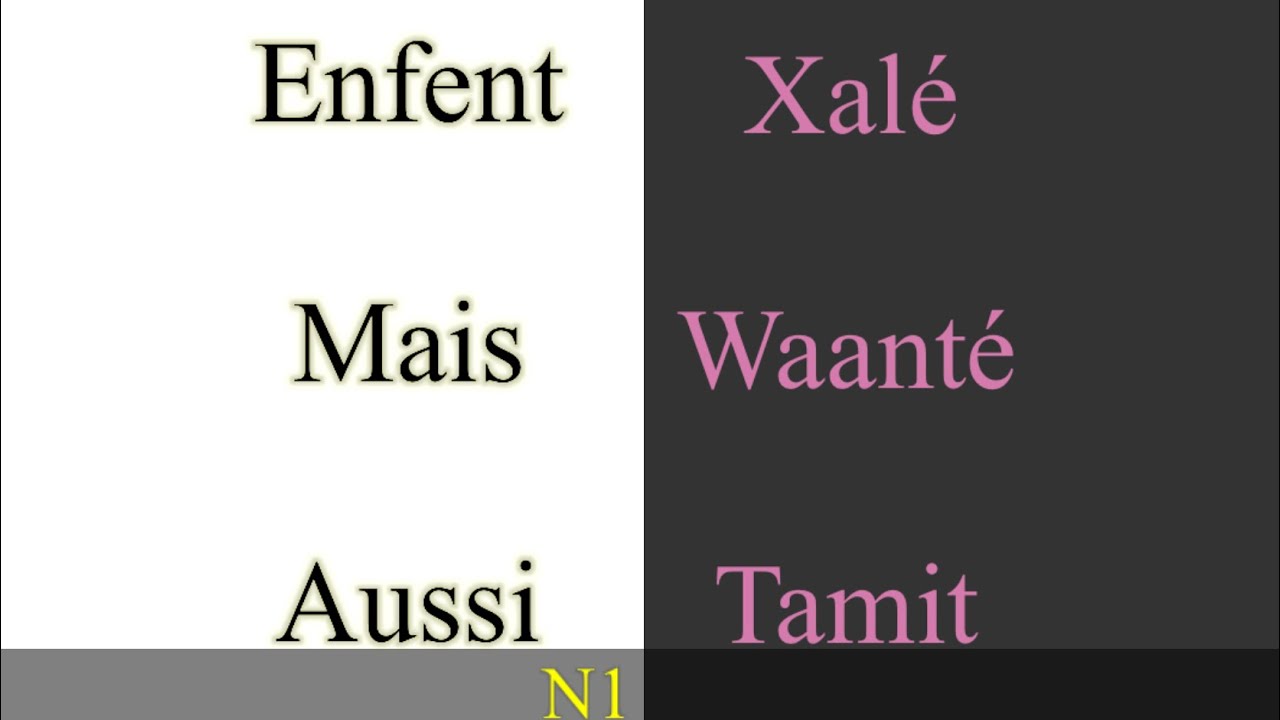 Des mots français plus utilisées actuellement N1