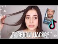 I Dyed my EYEBROWS *tik tok made me do it*