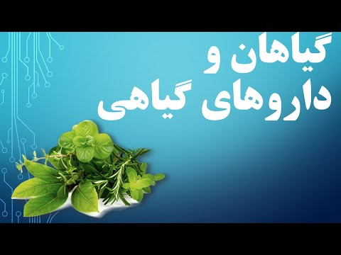 تصویری: خواص مفید گیاه