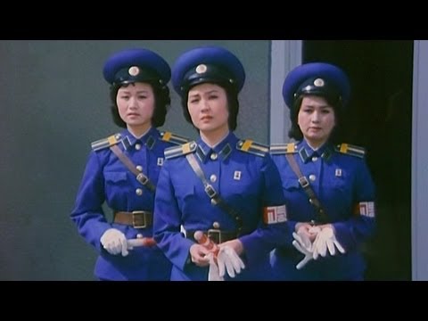 Blue Signal: North Korean Traffic Ladies