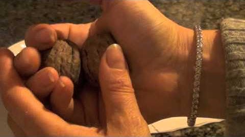 .Learn how to break walnuts with hands