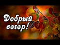 Добрый вечер! Добра и благополучия вам, вашим родным и близким! Красивое пожелание Доброго вечера