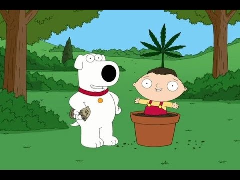 new full episodes of family guy