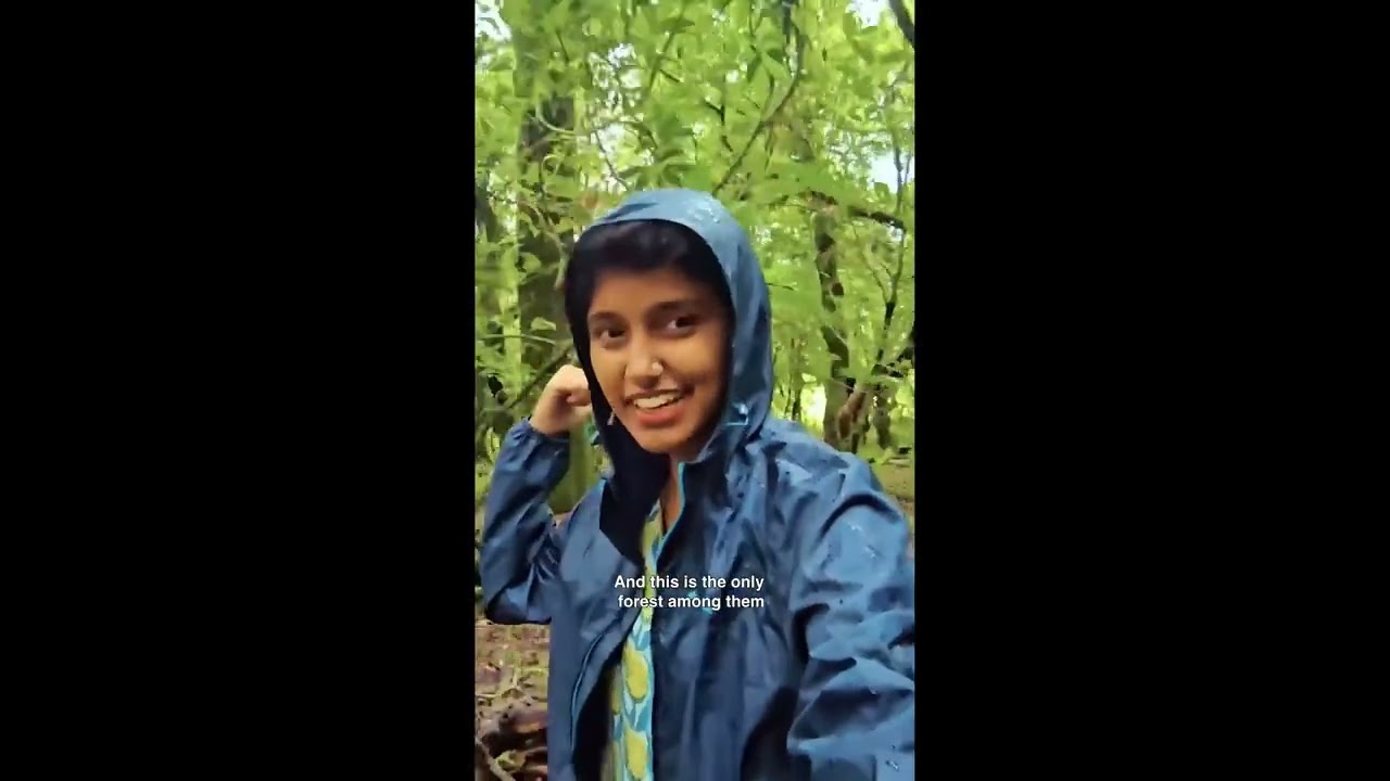 Secret Forest of India! 😮  | KK Create | 