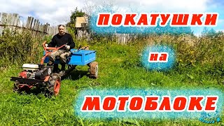 ПОКАТУШКИ на МОТОБЛОКЕ. Скосил оставшуюся ботву. RIDE on the CULTIVATOR.