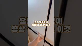 다이어트 루틴 비밀템✨