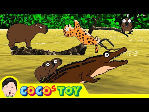 The friendship between the <strong>baby</strong> leopard and the Capybara familyㅣAnimals <strong>name</strong>, KidstoonㅣCoCosToy