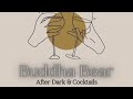 Buddha Bear After Dark and Cocktails (Crazy Tuesday) #afterdark #lgbt #dailylife #youtubeseries