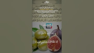سورة التين قرآن كريم #قرآن #راحة_نفسية #اكسبلور #لايك #tiktok #duet