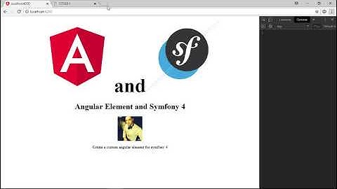 Integrate Angular Element with Symfony 4