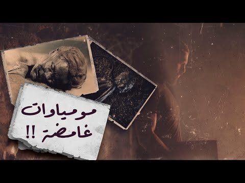 فيديو: ما هي فوائد المستنقع؟