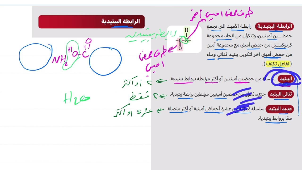 ١١- المركبات العضوية الحيوية تحصيلي ناصر عبدالكريم 2025