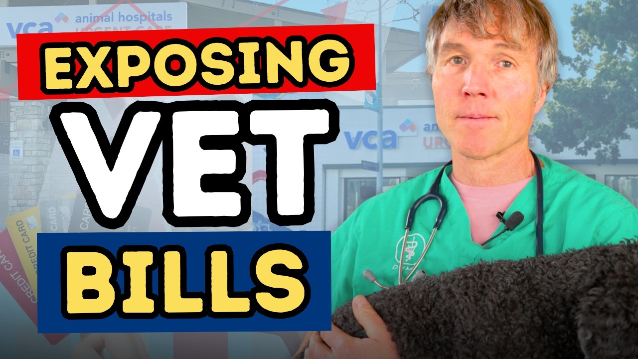 why-are-vet-bills-so-high-in-2025-hidden-costs-how-to-lower-them