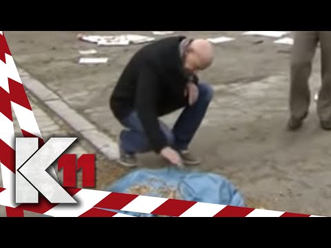 Video: Zwei Unglaubliche Und Heroische Hunde