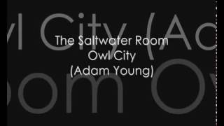 The Saltwater Room owl City S