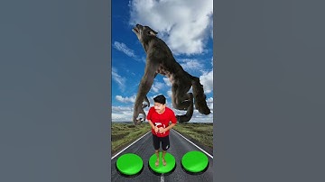 I jumped on press button to dinasorus wolf Gorilla funny vfx video #shorts