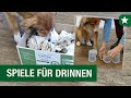 Spieltipps für Drinnen