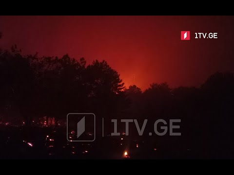 წავკისში ხანძრის ქრობის სამუშაოები მიმდინარეობს