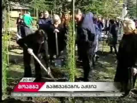 „მაღლივი“ კორპუსის მიმდებარედ 260 ხე-მცენარე დაირგო