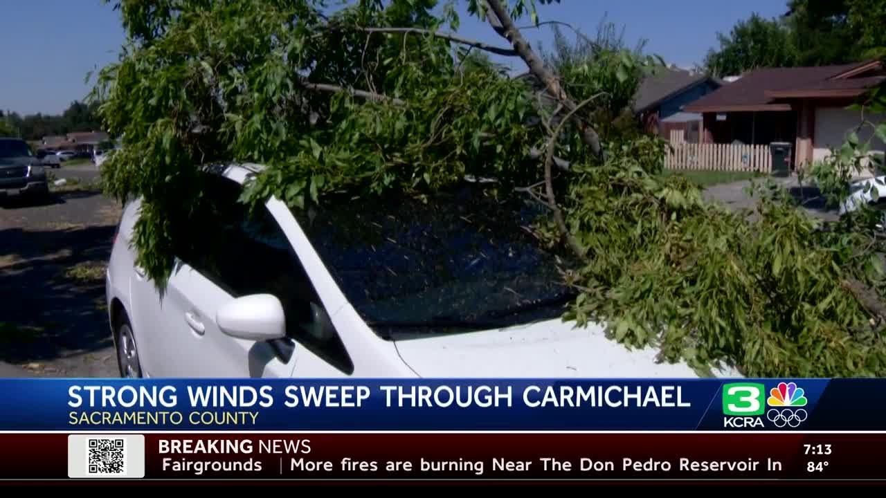 Powerful winds topple trees, cut power in Sacramento County