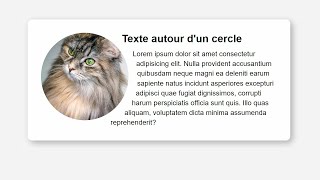 Texte autour d'une image en CSS screenshot 5