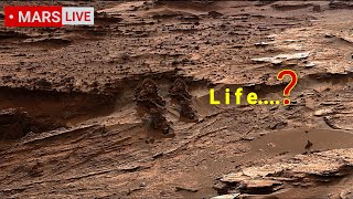 Is NASA's Mars Perseverance Rover Captured Past Life-Sign? Curiosity- 360 Degree Photos 2022-2023