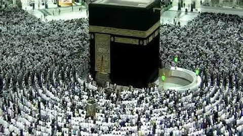 سورة النبأ فجر الخميس 29 ربيع الآخر 1441هـ لفضيلة الشيخ ‎#ياسر_الدوسري