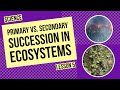 Ecosystem Changes Through Time: The Journey of Succession