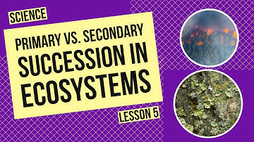 Primary vs. Secondary Succession: How Ecosystems Recover Over Time