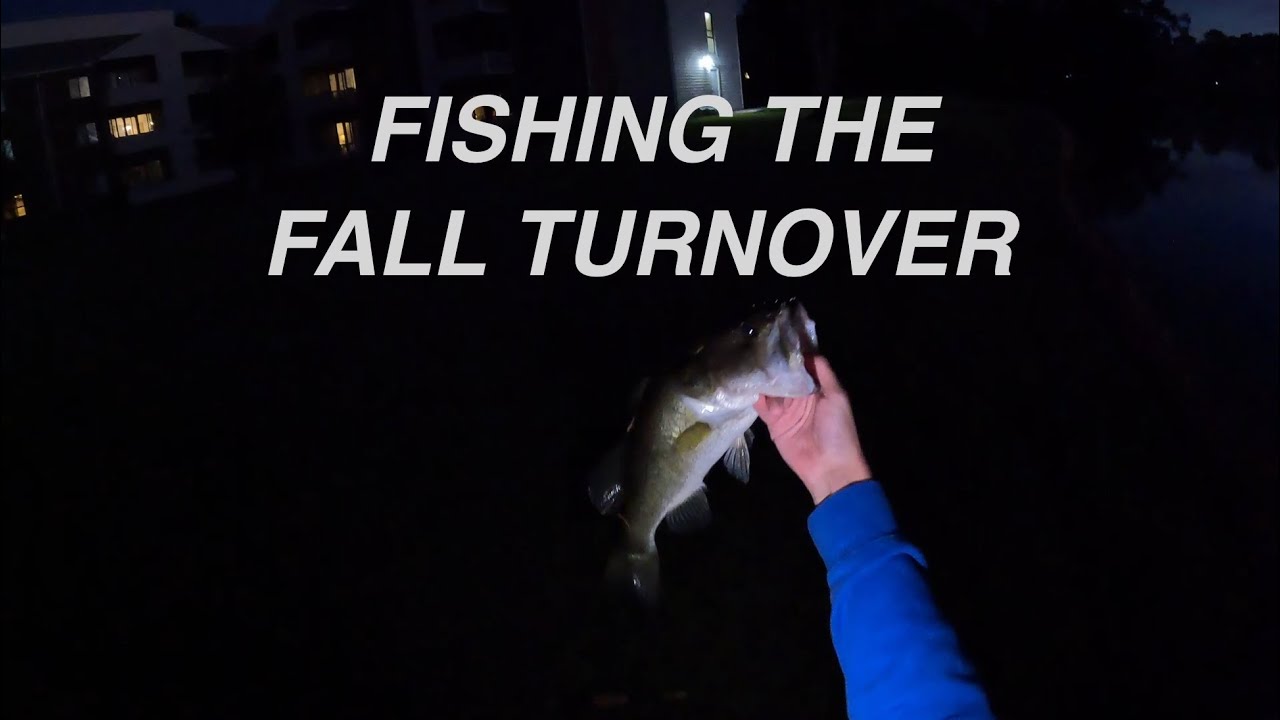 Fishing the FALL TURNOVER for BIG BASS!