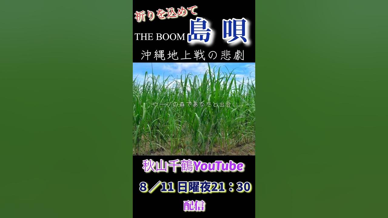 島唄 Shimauta ザ・ブーム THE BOOM 宮沢和史 Miyazawa Kazushi 歌詞付cover by 秋山千鶴 #shorts