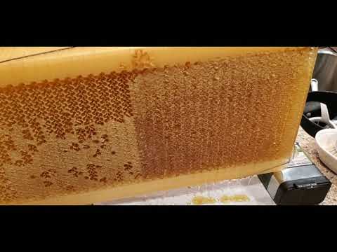 2019 Honey Harvest