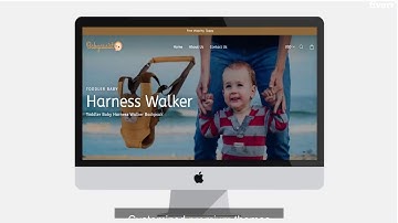 I will create 6 figure one product shopify dropshippng store - Full Website Creation Services