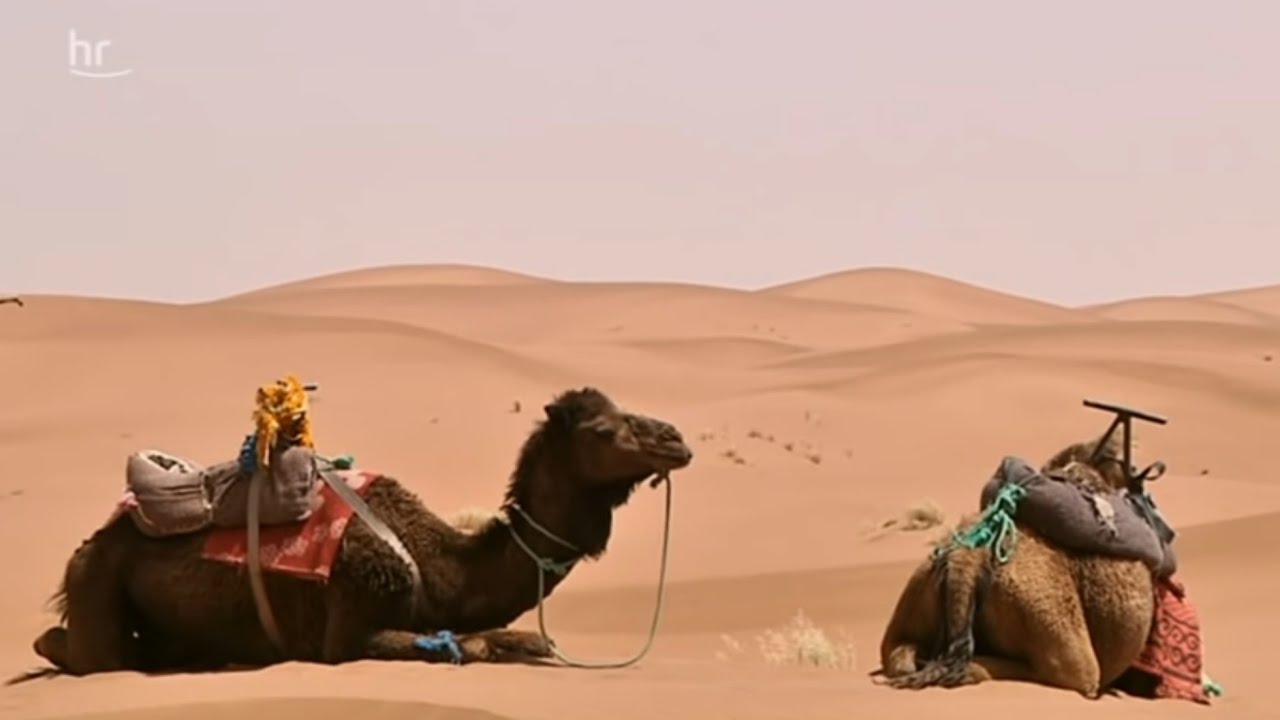 Marokko Reisereportage Youtube