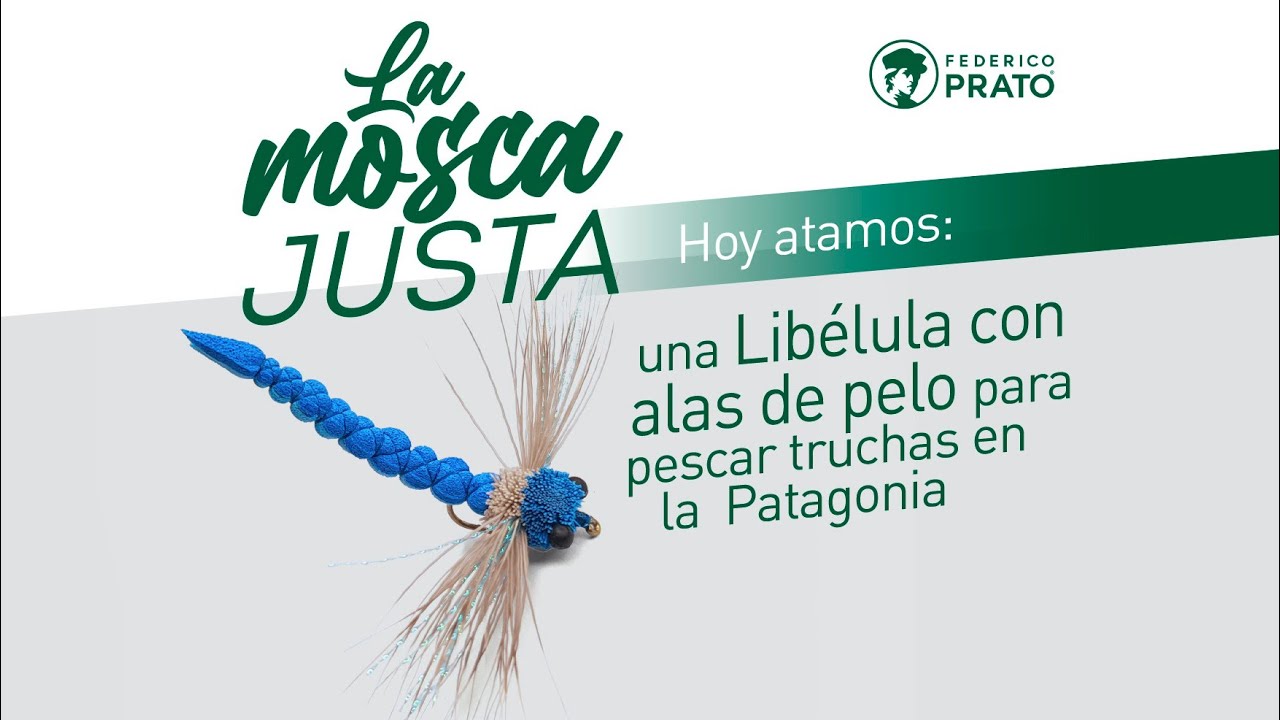 La mosa justa: Libélula con alas de pelo.