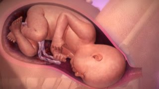 Labor and Birth | BabyCenter