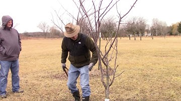 BWCD Deer Damage to Fruit Trees with MSU Extension Fruit Educator, Bob Tritten