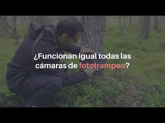 Fototrampeo. Una de las mejores armas para inventariar especies