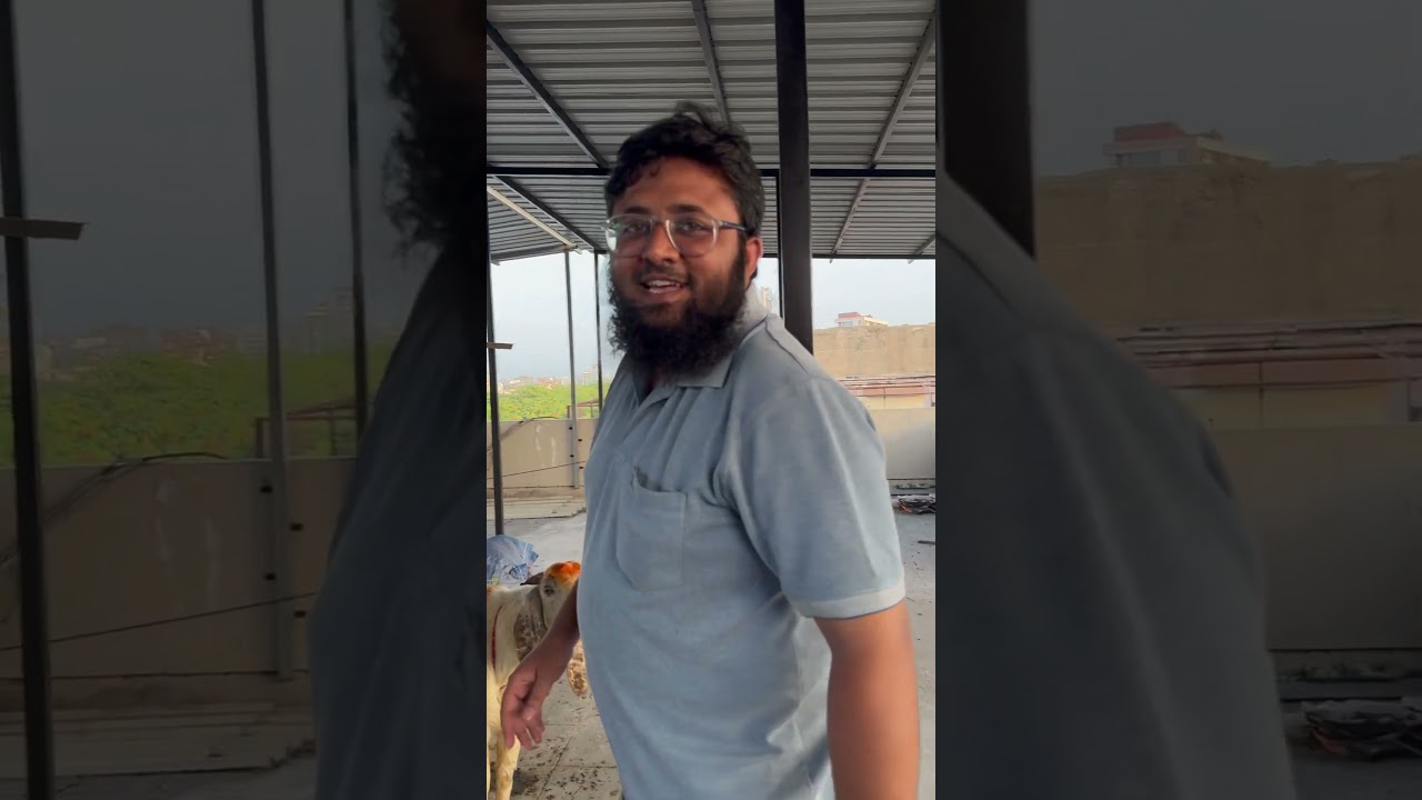 Aagaya ab bakre ka diaper hahahaha #diapers #bakraeid #bakraeidspecial