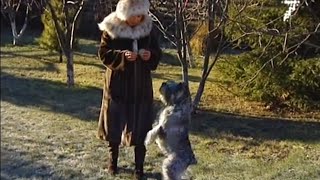 «Своими глазами»: и в пир и в мир! Шубы для жизни(, 2014-11-19T03:09:44.000Z)